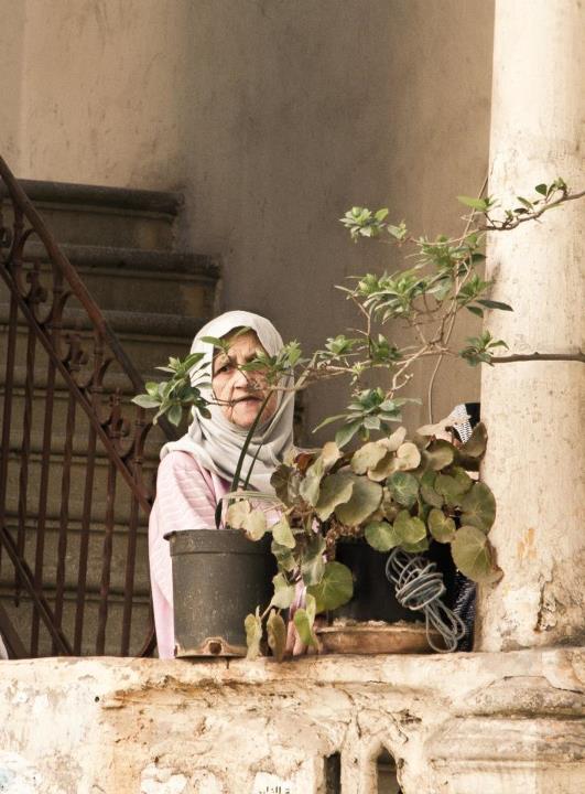 Lady Watching From the "Humans of Lebanon" Page